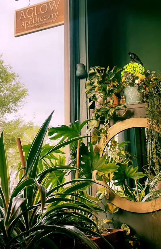 Aglow Apothecary + Healing Haven