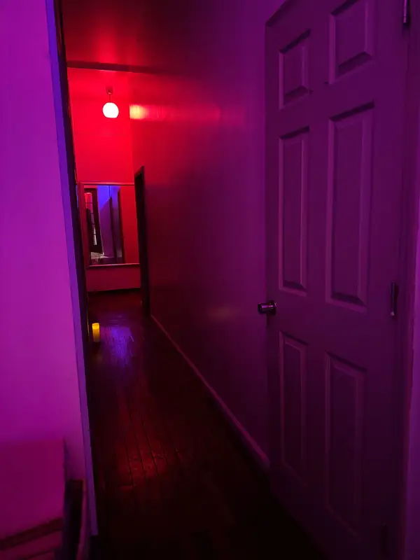 Area Infrared Sauna & Spa