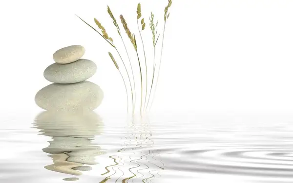 Artemesia Acupuncture