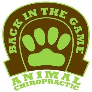 Back in the Game Animal Chiropractic
