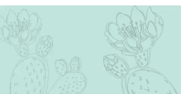 Blooming Cactus Wellness
