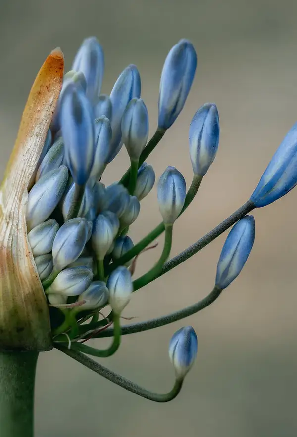 Cascade Natural Medicine