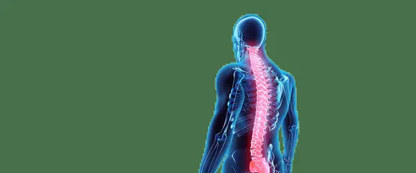 Eaton Chiropractic