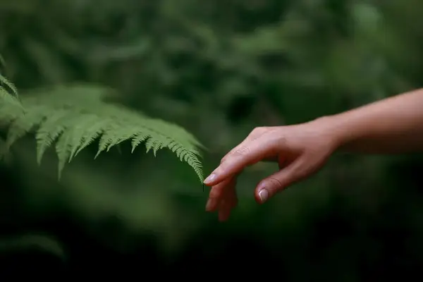 Ecologica Holistic Wellness
