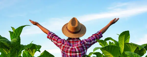 Harmony Healing Center Dr. Amit Gumman