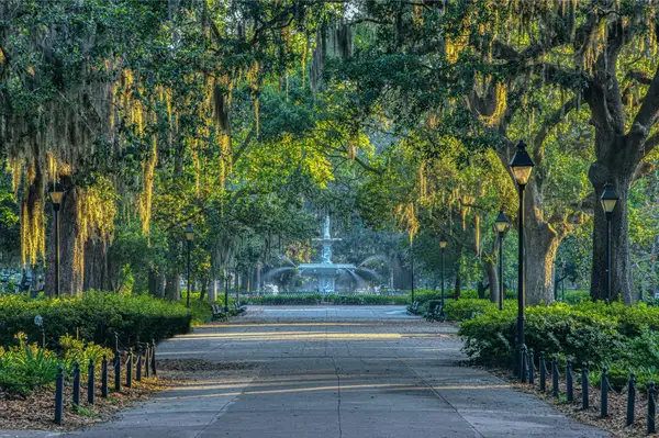 HealthQwest | Savannah