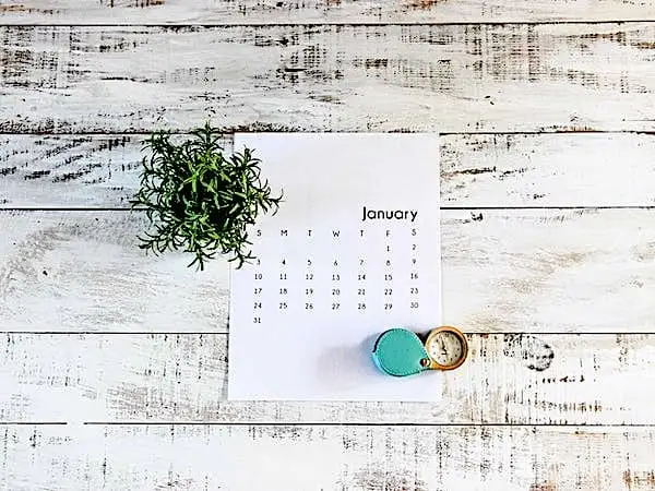 Holistic Family Medicine: Domenick J Masiello, DO