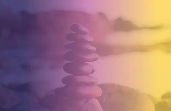 Laura Ponce Acupuncture & Wellness