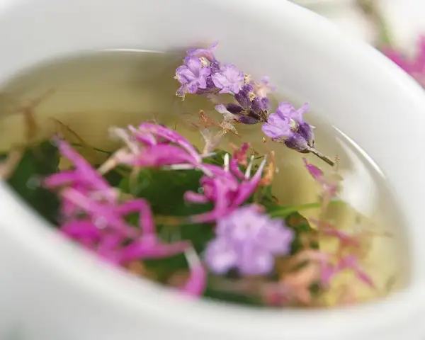 Lotus Acupuncture & Fertility Clinic
