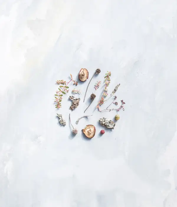 Mosaic Integrative Medicine