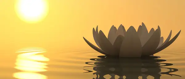 Oak Cliff Acupuncture Clinic