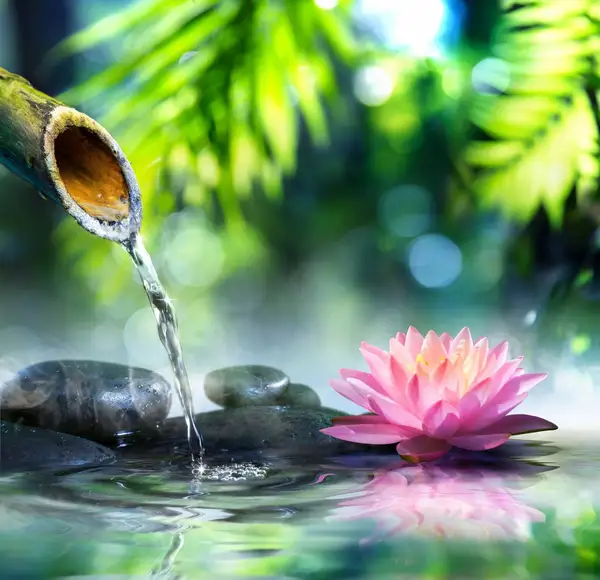 Refreshing Health Solutions