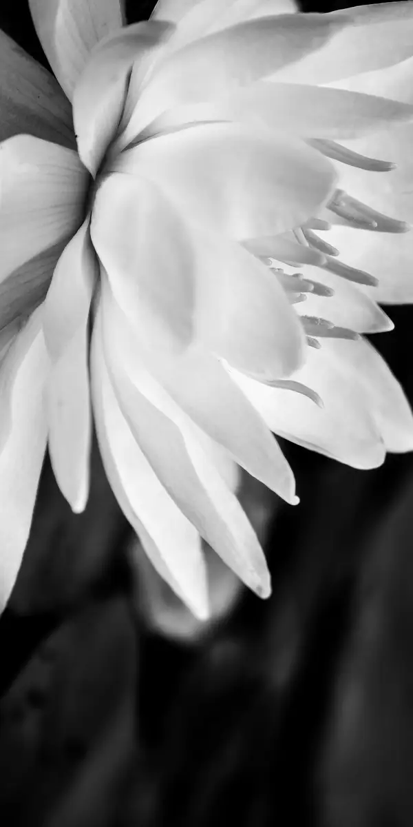Regenesis MD | Integrative Medicine, Regenerative Aesthetics, Functional Wellness Medspa