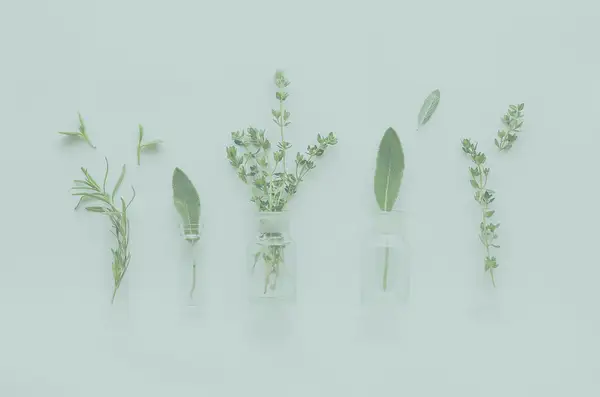 Rui Acupuncture Clinic