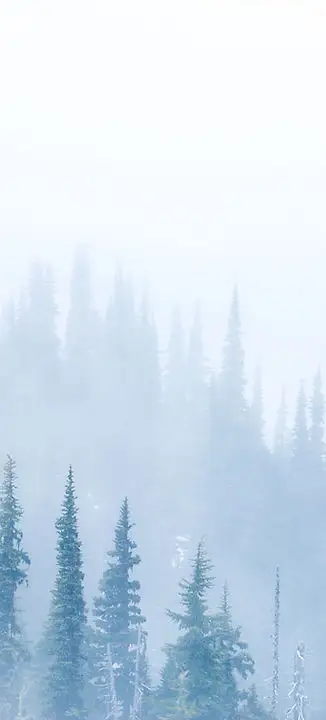 Seattle Nature Cure Clinic