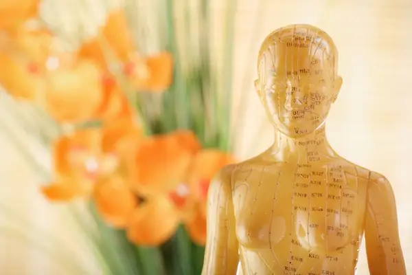 Silver Moon Acupuncture