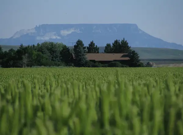 Skelton Ranch Co
