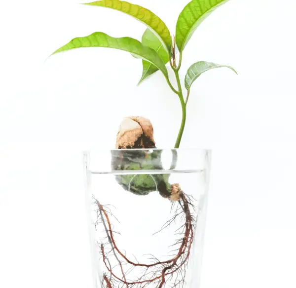 Solutions Functional Medicine Centre