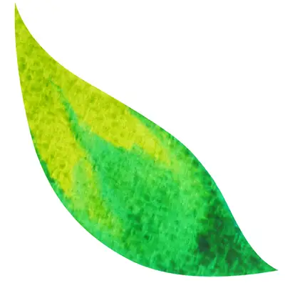 The Ellenburg Center for Natural Medicine, Inc.
