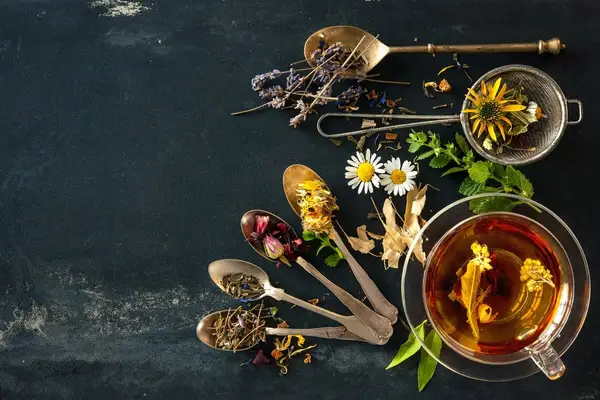 Tree of Life Medicine: Gabriel Archdeacon, ND